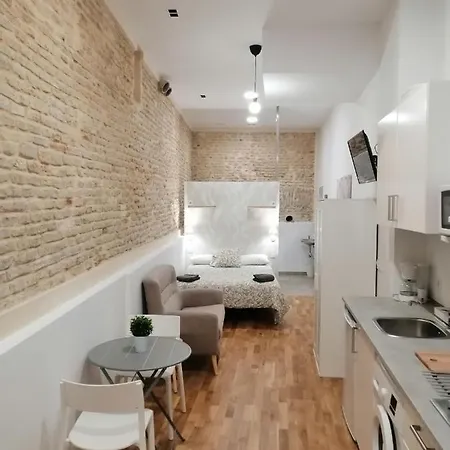 Apartment Salotur Sierpes *